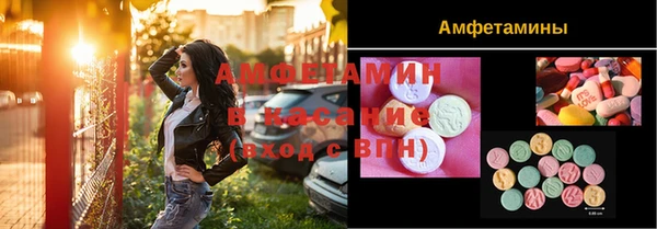 твердый Алексеевка