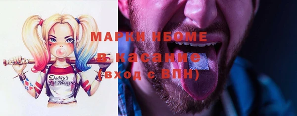 хмурый Алексин