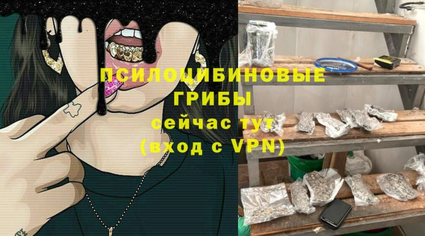 бошки Алзамай