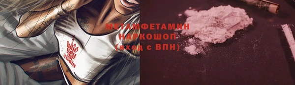 прущие грибы Осташков