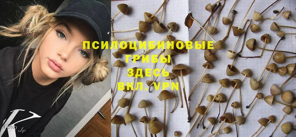 бошки Алзамай