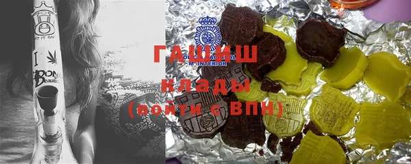 хмурый Алексин