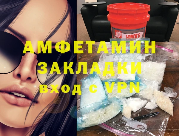 хмурый Алексин