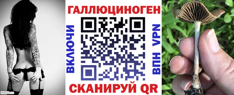 Галлюциногенные грибы мицелий  даркнет как зайти  Лихославль 